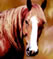 small logo